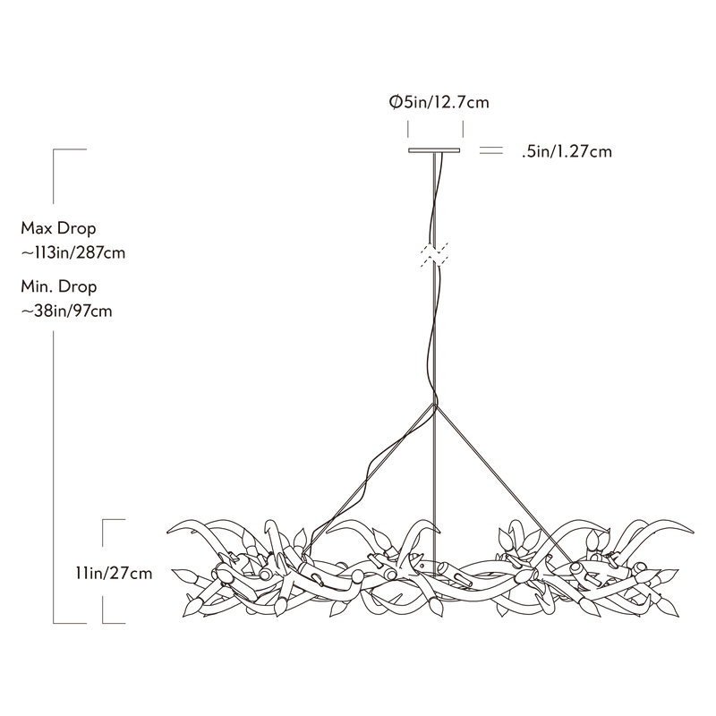 Dimension image 1