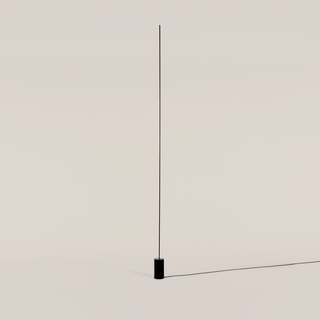 POLEF1
