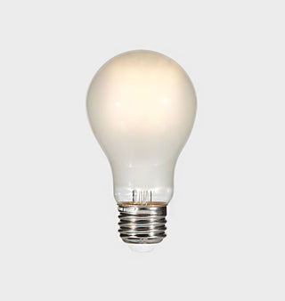 A19 Frosted Bulb   Illuminated
